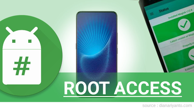 Root vivo