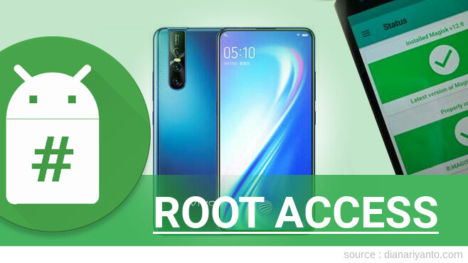 Root vivo