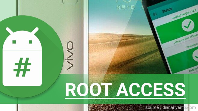 Root vivo