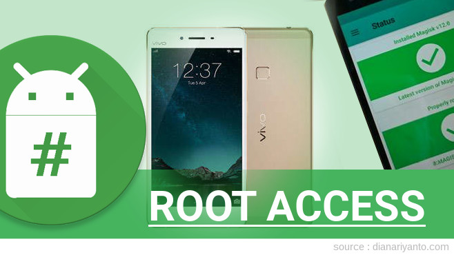 Root vivo