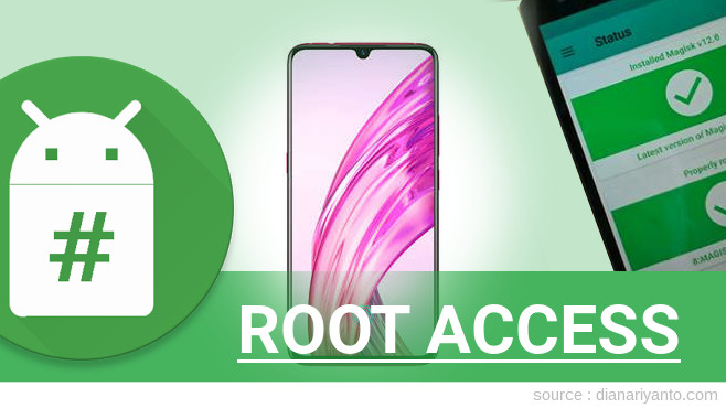 Root vivo