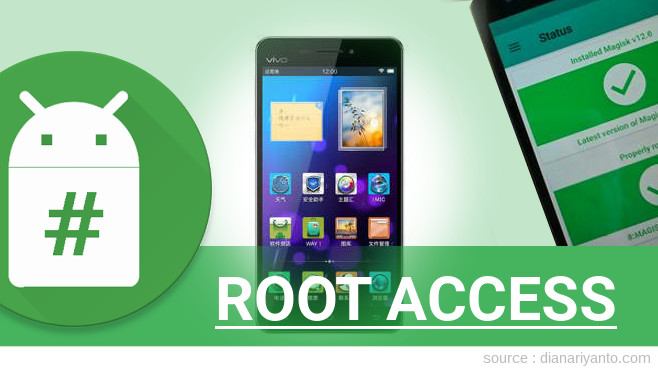 Root vivo