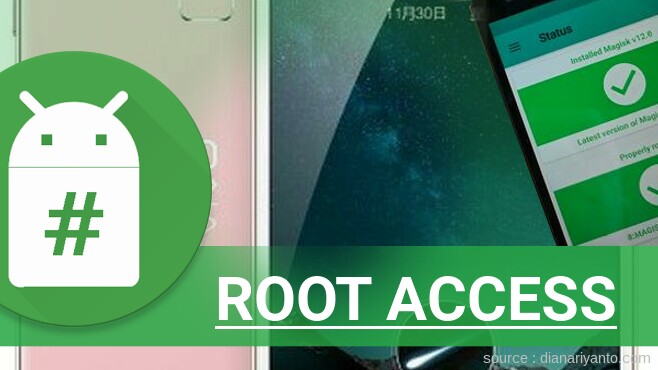 Root vivo