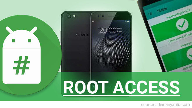 Root vivo