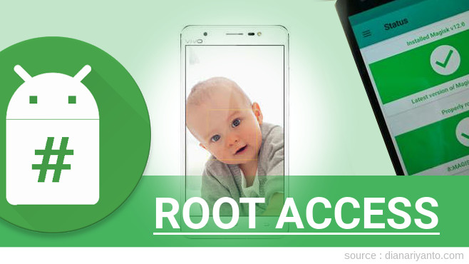 Root vivo