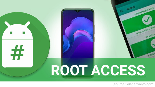 Root vivo