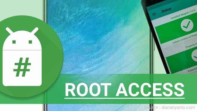 Root vivo