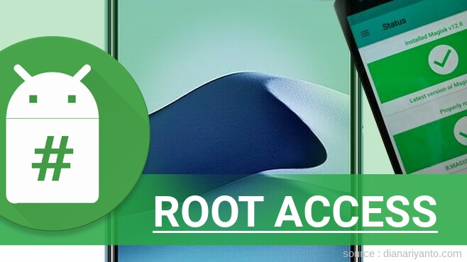 Root vivo