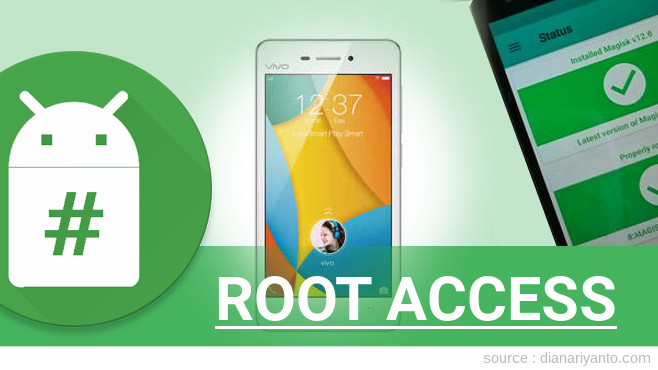 Root vivo