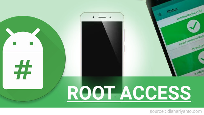 Root vivo