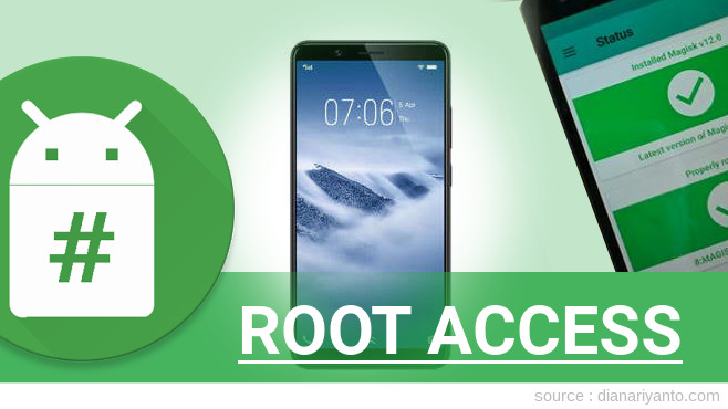 Root vivo