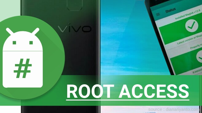 Root vivo