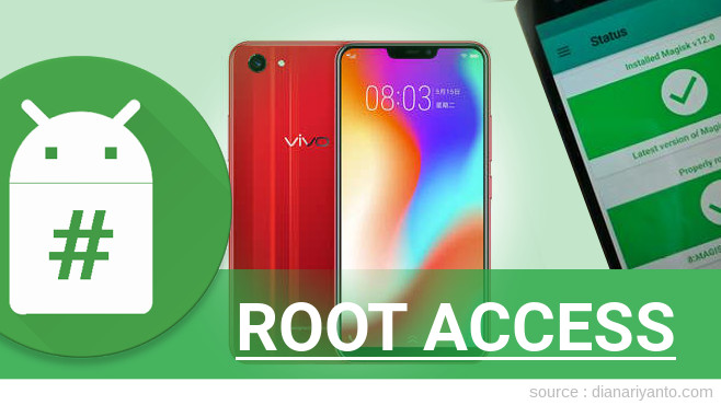 Root vivo