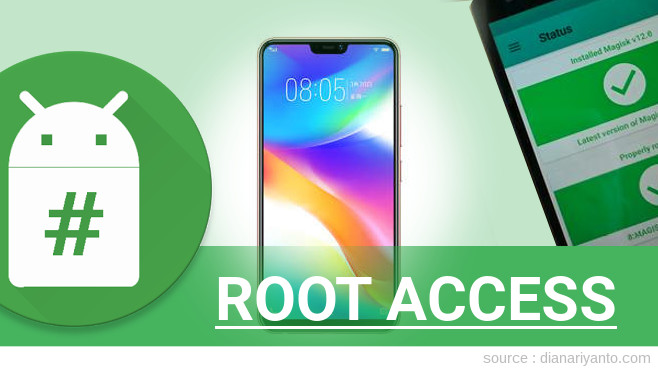 Root vivo