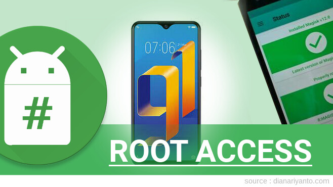 Root vivo